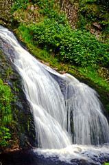 Fototapeta premium Wasserfälle im Schwarzwald