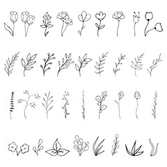 A large set of plants - flowers, branches, grass. Black and white silhouettes of plants, flowers, branches. Isolated plants on a white background.