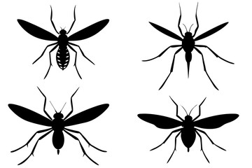 set of mosquito silhouette vector  illustration 
