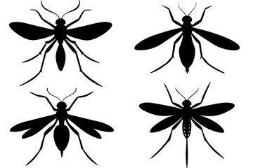 set of mosquito silhouette vector  illustration 