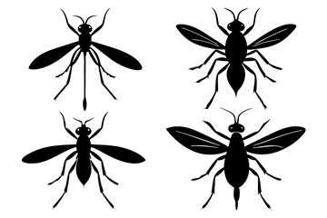 set of mosquito silhouette vector  illustration 