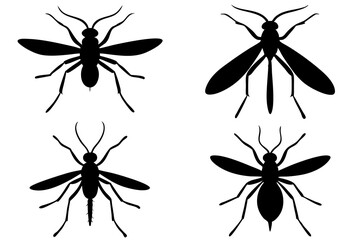 set of mosquito silhouette vector  illustration 
