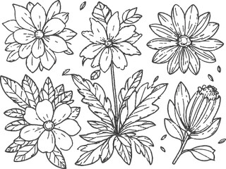 seamless pattern with flowers