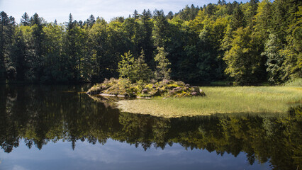 Obraz premium L'étang des Roseaux est un petit lac situé dans les contreforts du Ballon d'Alsace, dans le massif des Vosges, dans le département du Territoire de Belfort.