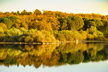 Autumn lake landscape, Alentejo Portugal.