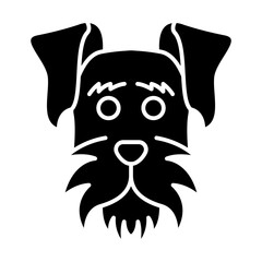 Miniature Schnauzer dog face