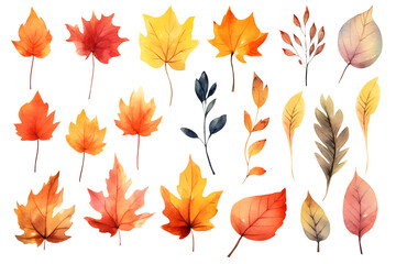 Obraz premium Watercolor autumn yellow leaves and plants collection isolated on white background