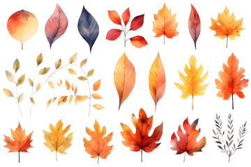 Watercolor autumn yellow leaves and plants collection isolated on white background