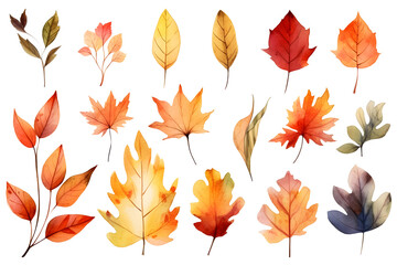 Watercolor autumn yellow leaves and plants collection isolated on white background