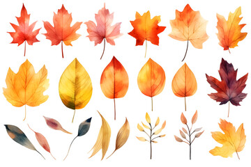 Naklejka premium Watercolor autumn yellow leaves and plants collection isolated on white background