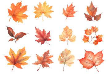 Watercolor autumn yellow leaves and plants collection isolated on white background
