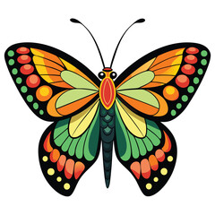 A beautiful butterfly on a white background