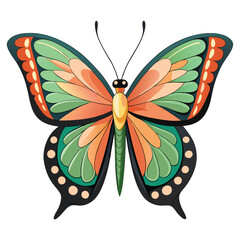 A beautiful butterfly on a white background