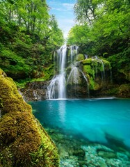 苔むした岩と鮮やかな葉に囲まれた、透明なプールに流れ落ちる美しい滝