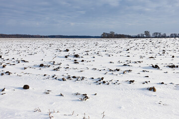 the ground is covered with snow