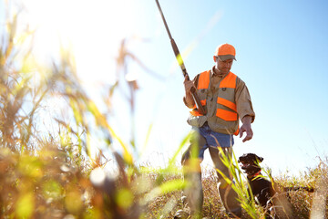 Man, dog and outdoor for hunting search, stroke and bush for prey together in nature. Mature...