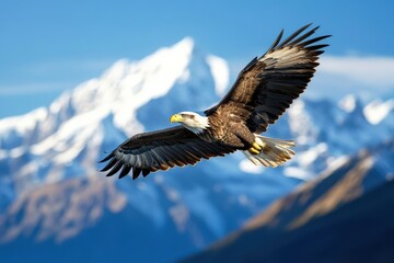Obraz premium A bald eagle spreads its wings wide as it glides above a landscape of soaring, snow-covered mountains, showcasing the symbol of strength and freedom in a stunning natural setting.