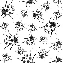 Seamless pattern with ladybug in doodle style. Vector hand drawn illustration