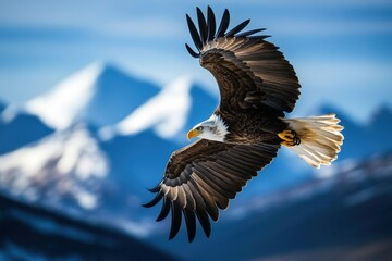 Obraz premium A majestic bald eagle spreads its wings in flight against a backdrop of snowy mountains and a clear blue sky, embodying freedom and the beauty of nature.