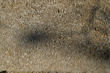 ray of sunshine on cinder block