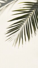 Obraz premium Business, travel concept, fern leaf, projection, background, palm leaf, Shadow, clean flat, white sand beach, local close-up, magazines, books, documents, media, Reading, color, pattern, sky, close-up