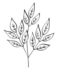 Autumn summer spring twig sprout plant with leaves drawn with black line contour for decorative pattern. Flat doodle style. Vector illustration.