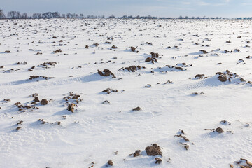 the ground is covered with snow