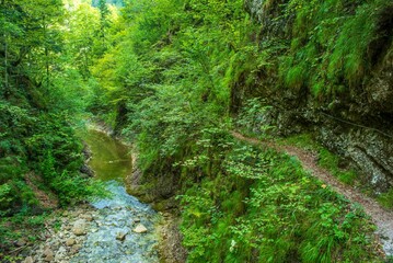 trail triftsteig in the austrian national park kalkalpen near reichraming