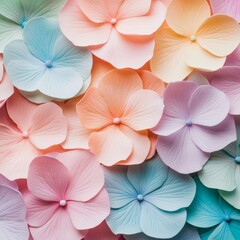 Pastel Flower Petals Background
