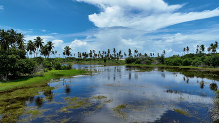 Fototapeta premium Lake Scenery At Lagoa Do Sal In Rio Grande Do Norte Brazil. Lagoon Background. Countryside Scenery. Pond Nature. Lake Scenery At Lagoa Do Sal In Rio Grande Do Norte Brazil.