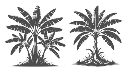 Obraz premium Banana Tree Silhouette Set. Vector Icon Art.