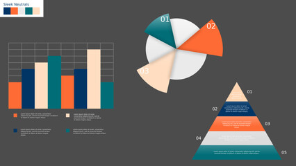 Elegant Chart Set: Pie, Bar, and Pyramid with Sleek Neutrals Palette