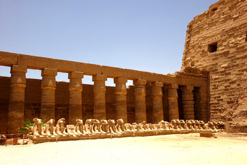 Explore Majestic Columns and Ancient Statues of Karnak Temple Complex in Egypt Under the Bright Sun
