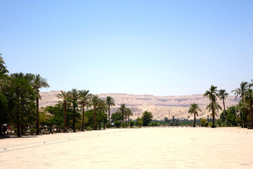 Sunny Day at Karnak Temple Complex With Palm Trees and Distant Hills in Egypt