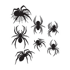 set of spider web