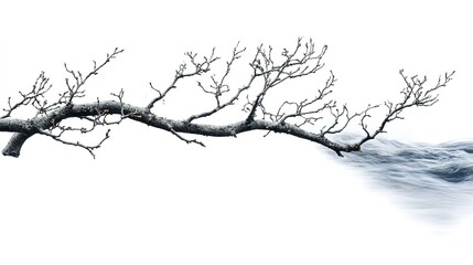 Obraz premium Narrow Branch of the River in the Mountains: A Scenic View of a Narrow River Branch Winding Through Majestic Mountain Terrain. 