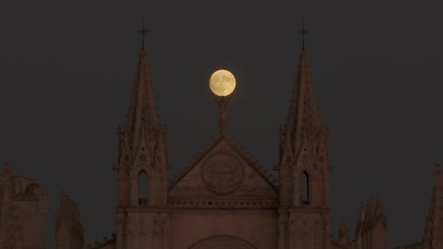 Aerial video of Palma de Mallorca cityscape. La Sao Cathedral of Santa Maria