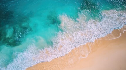 Aerial view of tropical summer palm beach. Sandy beach with sea waves background.