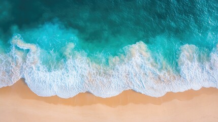 Aerial view of tropical summer palm beach. Sandy beach with sea waves background.