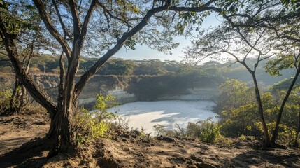 view of the white crater area surrounded by beautiful trees