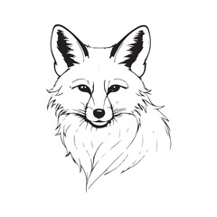 Fox line art vector silhouette with white Background