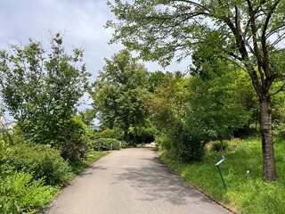 The Botanical Garden of the University of Zurich or Botanischer Garten der Universität Zürich (Botanischer Garten der Universitat Zurich - Botanischer Garten der Universitaet Zuerich)
