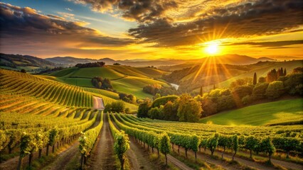 Fototapeta premium Warm golden light bathes rolling hills of lush green vineyards as the sun sets behind them, casting a serene and peaceful atmosphere.