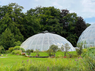 Obraz premium The Botanical Garden of the University of Zurich or Botanischer Garten der Universität Zürich (Botanischer Garten der Universitat Zurich - Botanischer Garten der Universitaet Zuerich)