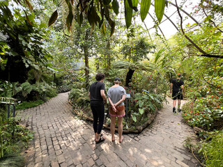The Botanical Garden of the University of Zurich or Botanischer Garten der Universität Zürich (Botanischer Garten der Universitat Zurich - Botanischer Garten der Universitaet Zuerich)