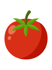 tomato vector, illustration of tomato isolated on white background