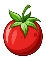 tomato vector, illustration of tomato isolated on white background
