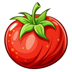 tomato vector, illustration of tomato isolated on white background