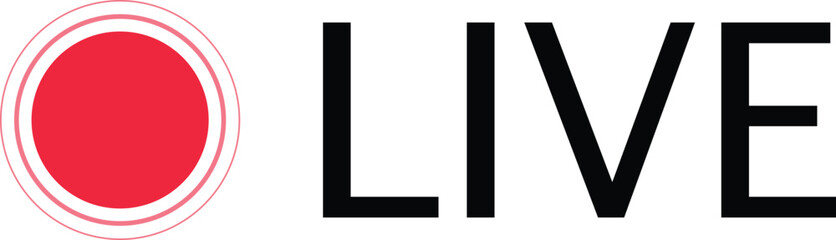 Camera viewfinder. Video camera screen. video camera display. Camera recording screen, viewfinder on black background. Modern focusing screen. 4k Animation video