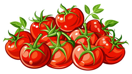 tomatos vector, illustration of tomatos isolated on white background